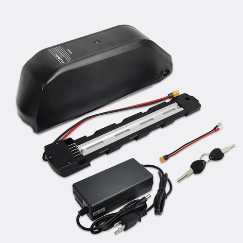 1500w Conversion Kit & 48v Battery Package