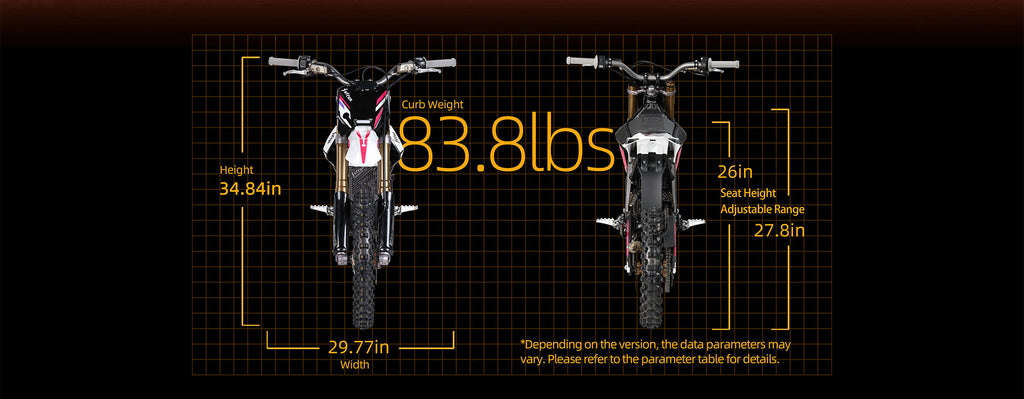 SURRON HYPER-BEE 2026